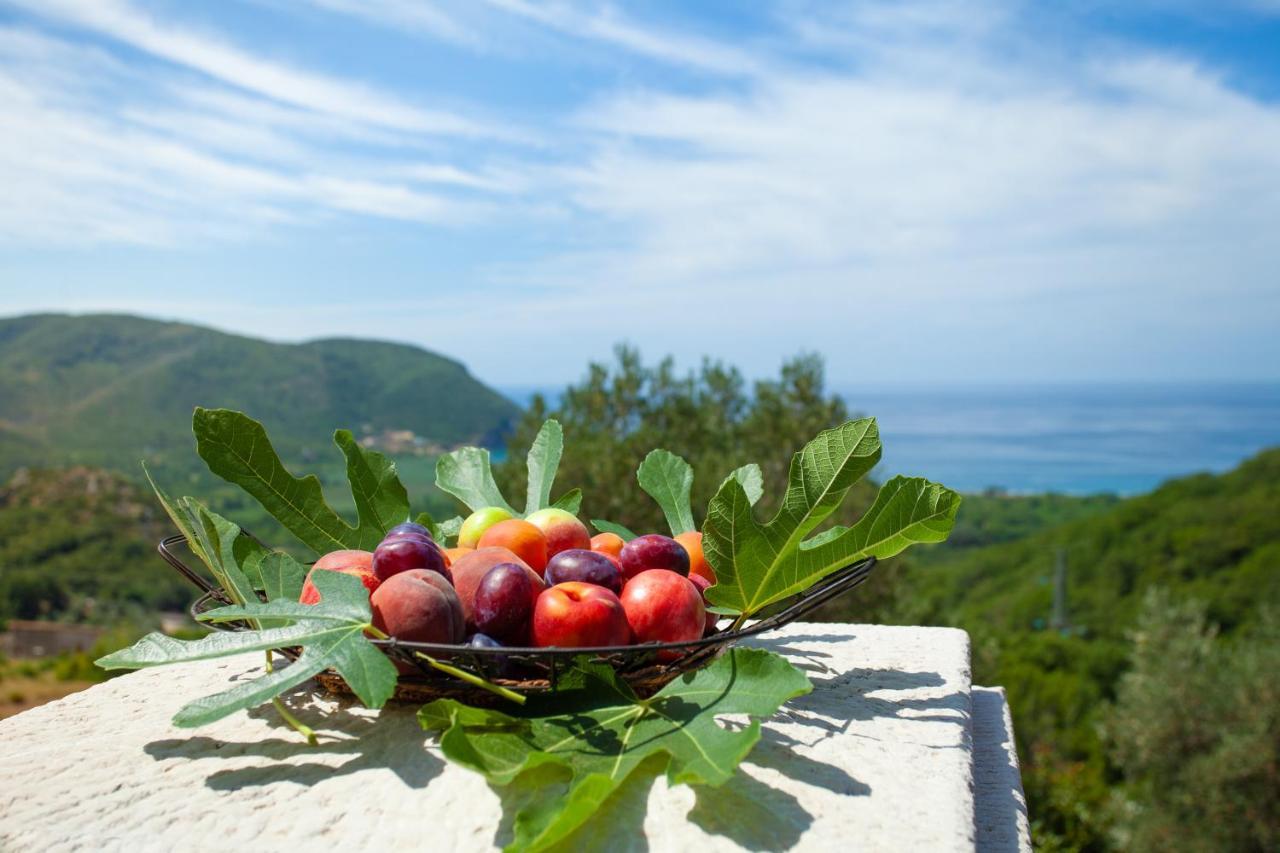 Eco Village Buljarica Budva Ngoại thất bức ảnh