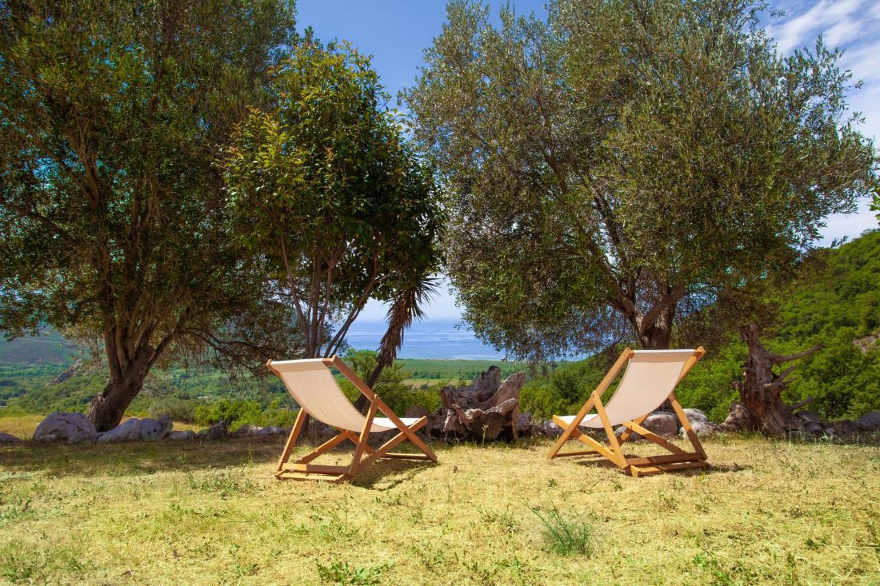 Eco Village Buljarica Budva Ngoại thất bức ảnh